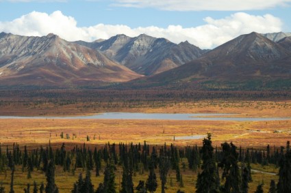 pegunungan gurun Alaska