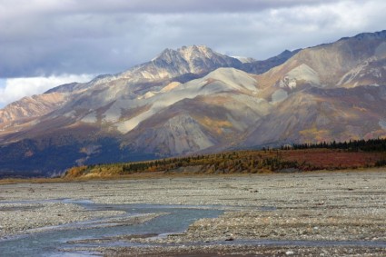 тундра Аляски дикой природы