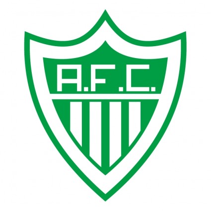 alfenense futebol clube de alfenas mg