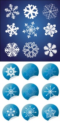 All Kinds Of Snow And Wrap Angle Icon Vector