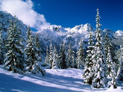 Thiên nhiên mùa đông núi hoang dã hình nền