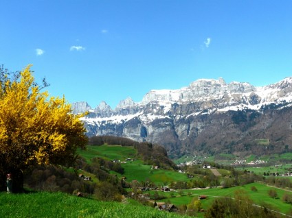 Alpen-Gletscher