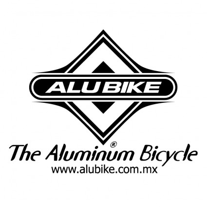 알루미늄 자전거