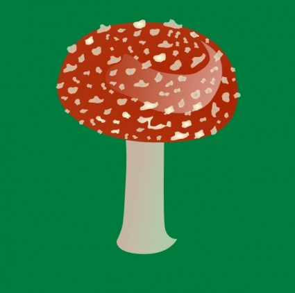 鵝膏菌有毒蘑菇的剪貼畫