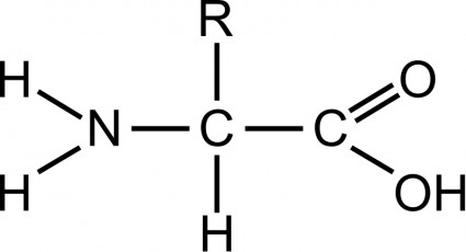 aminoácido geral