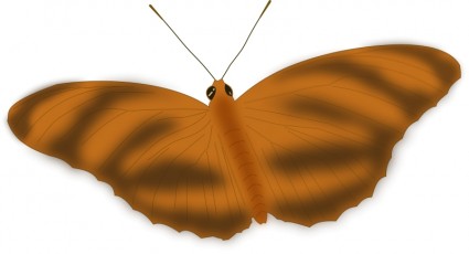 una mariposa etérea