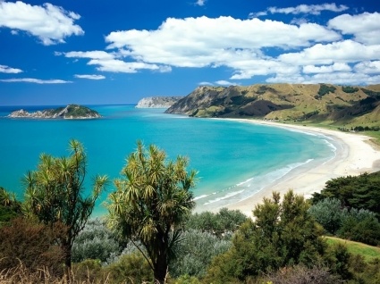 أناورا خلفية خليج عالم نيوزيلندا