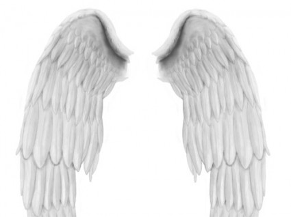 天使の翼 psd ファイル