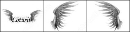 escova de asas angelicais