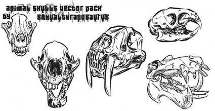 crânes animales vector pack
