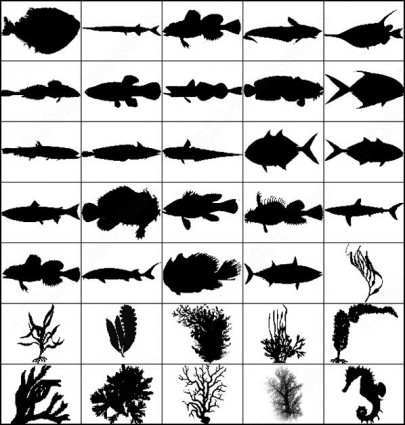 動物和植物海刷