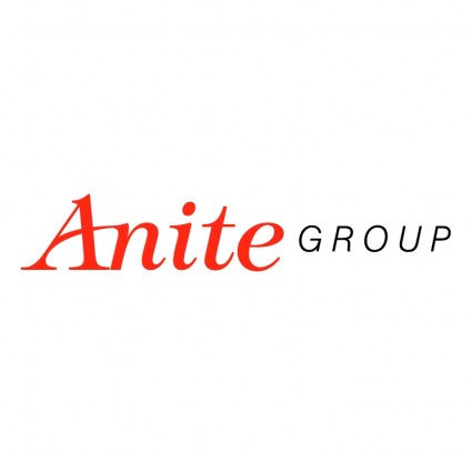 Anite Gruppe