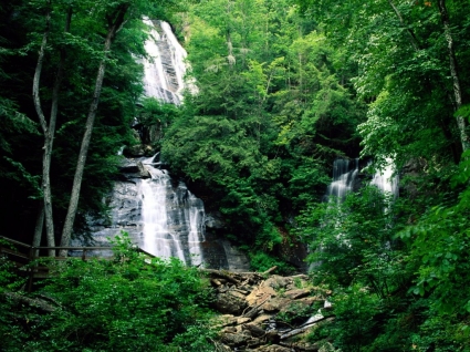 Anna Ruby Falls Wallpaper Waterfalls Nature