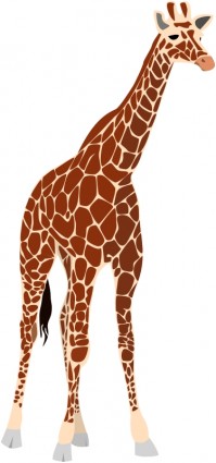 ein weiteres giraffe
