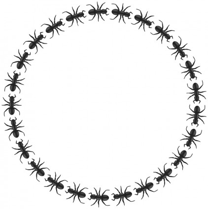 cercle de frontière de fourmi