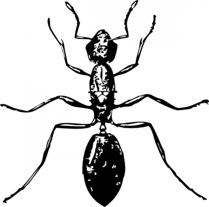 النمل قصاصة فنية