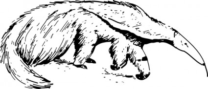 clip art de oso hormiguero