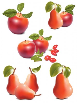 vector ultrarealistic de manzana y pera
