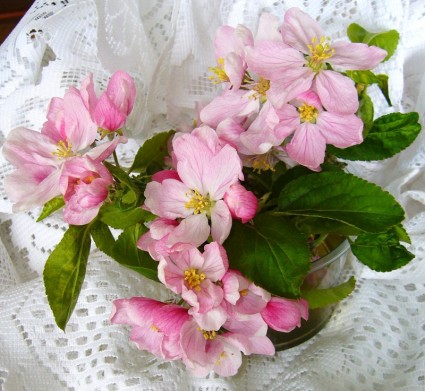 Apple blossom flor arrangment