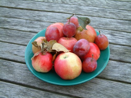 owoców jabłka śliwki