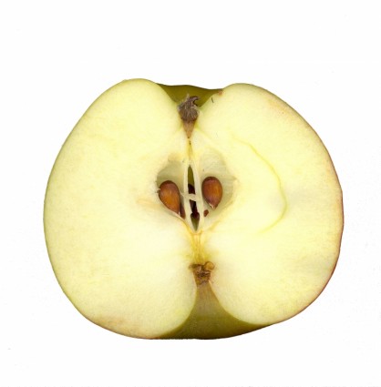 فاكهة التفاح الماسحات الضوئية