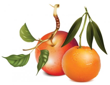 vector de manzanas y naranjas