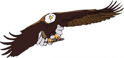 Aquila Frontale ClipArt