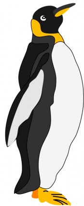 pinguino architetto