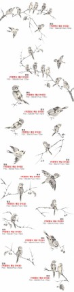 artcity Hàn Quốc mực chim psd