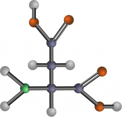 Аспартановая кислота амино кислоты