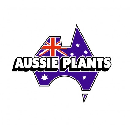 Aussie Pflanzen