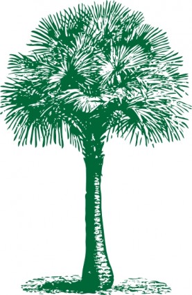 Australia fan palm clip art