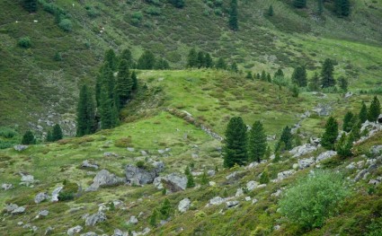 Österreich-Landschaft-Tal Österreich-Landschaft-Tal