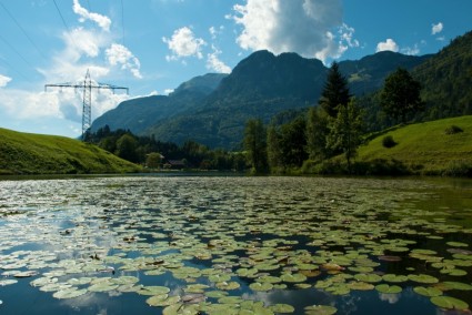 живописные горы Австрии