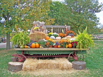 Herbst-display
