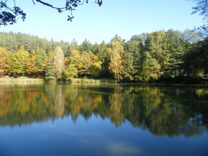 秋季出现池塘