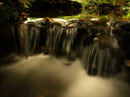 jesień tapety natura rzek