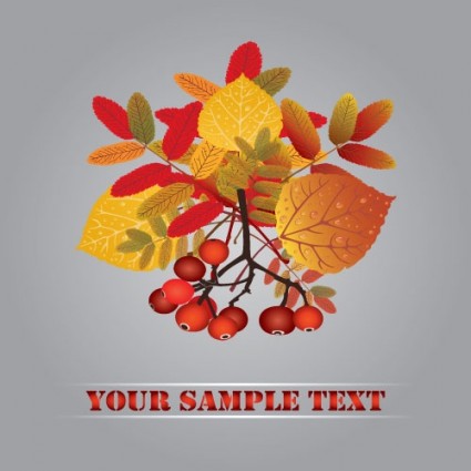 أوراق الخريف فاكهة الخريف المتجهات