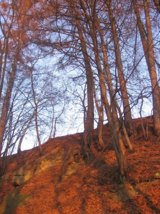 musim gugur hillside