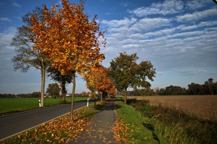 Herbst in Deutschland