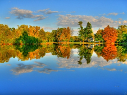 autunno autunno natura di lago carta da parati