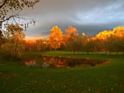 秋の湖の壁紙風景自然