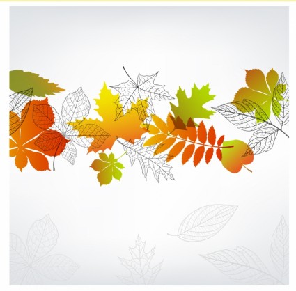 frontera de hojas de otoño