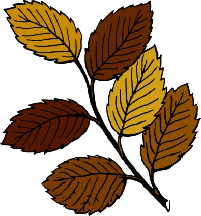 daun musim gugur di cabang clip art