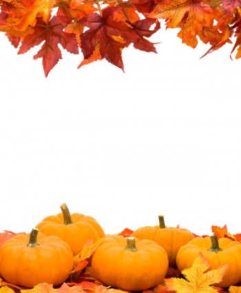 秋天的樹葉南瓜圖片幀高清圖片