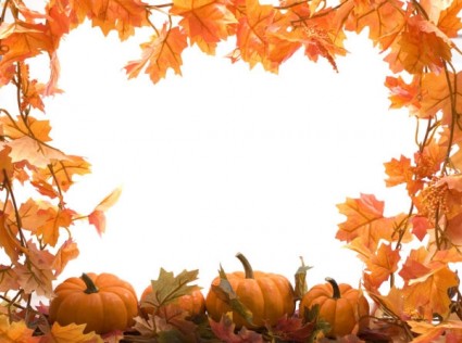 feuilles d'automne potiron image frame hd images