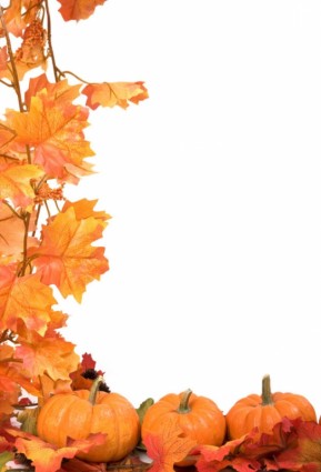 feuilles d'automne potiron image frame hd images