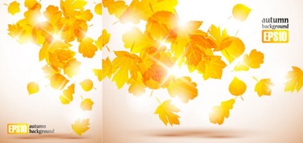 vector de hojas de otoño