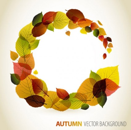 hojas de otoño vector diseño gráfico