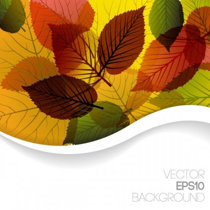 Осенние листья векторный графический дизайн